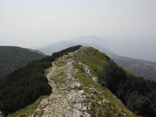 Ina